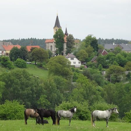 Hostinec U Janatu S Ubytovanim Cestin Exterior foto